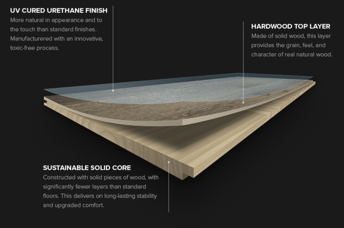 The Hermitage Collection